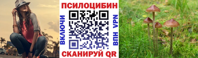 Псилоцибиновые грибы ЛСД Гаврилов-Ям